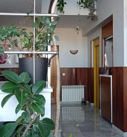 Hotel Narcea *